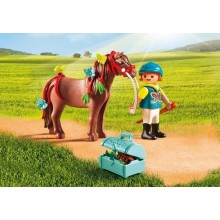 Playmobil Pony Farm...