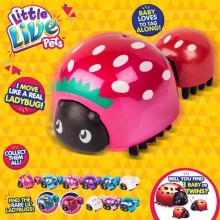 Little Live Pets  Ladybug...