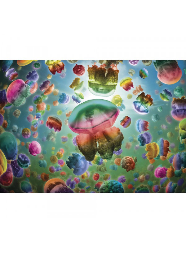 Gibsons Jellyfish 1000 Piece Jigsaw Puzzle