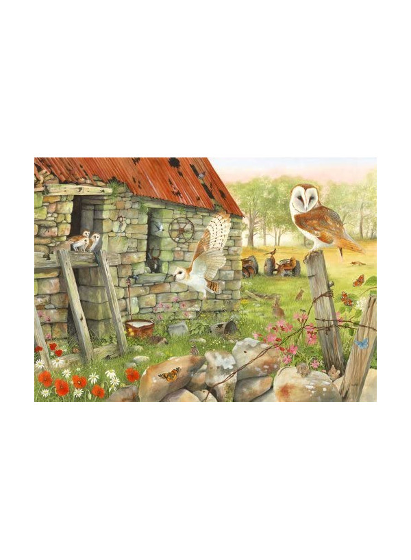 House Of Puzzles Dawn Flight In 1000 Piece Jigsaw Puzzle