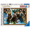 Ravensburger Harry Potter Heroes And Villains 1000 Pcs Jigsaw Puzzle