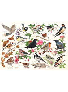 House Of Puzzles 1000 Piece Jigsaw Puzzle – Birds In My Garden