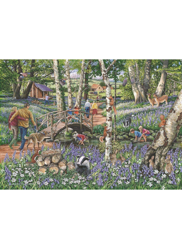 House Of Puzzles 1000 Piece Jigsaw Puzzle - Find The Differences No.18 – ‘Walk In The Woods’