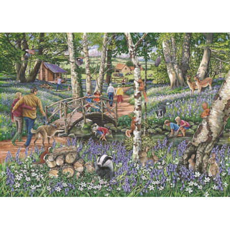 House Of Puzzles 1000 Piece Jigsaw Puzzle - Find The Differences No.18 – ‘Walk In The Woods’