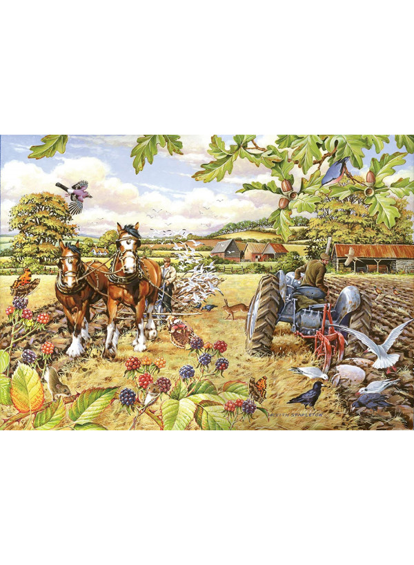 House Of Puzzles Sign Of The Times 1000 Piece Jigsaw Puzzle House Of Puzzles Sign Of The Times 1000 Piece Jigsaw Puzzle
