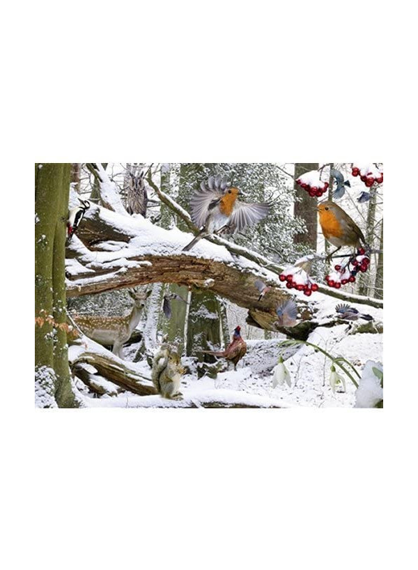 House Of Puzzles 500 Piece Jigsaw Puzzle - Winter Wood