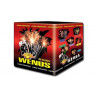 Jorge Fireworks Wenus 25 Shot Cake
