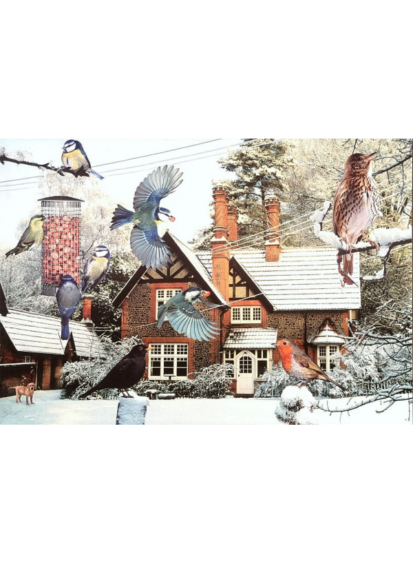 The House Of Puzzles 1000 Piece Jigsaw Puzzle - Bird's Eye View In Winter Garden