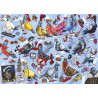 Gibsons Pigeons Of Britain 1000 Piece Jigsaw Puzzle