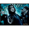 Harry Potter 3d Puzzle Slytherin 500 Pcs Jigsaw