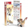 Eugy Build Your Own 3d Models Raptor