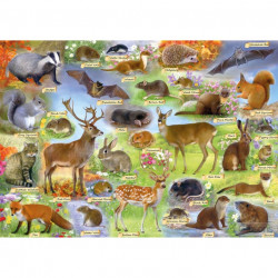 Gibsons British Wildlife 500 Pcs Jigsaw Puzzle