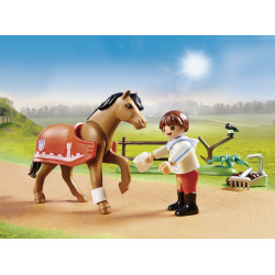 Playmobil Collectible Connemara Pony 70516