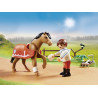 Playmobil Collectible Connemara Pony 70516