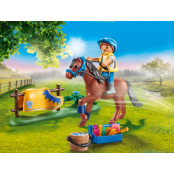 Playmobil Collectible Welsh...