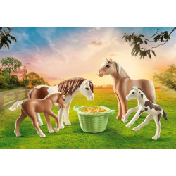 Playmobil Icelandic Ponies With Foals 71000