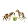 Playmobil Icelandic Ponies With Foals 71000