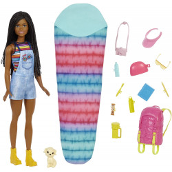 Barbie It Takes Two Camping Playset - Stacie Doll And Pet Puppy