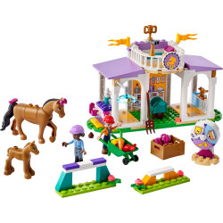 Lego Friends Horse Training 41746