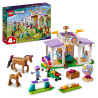 Lego Friends Horse Training 41746