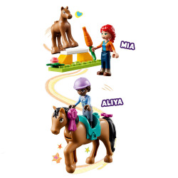 Lego Friends Horse Training 41746