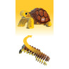 Eugy Build Your Own 3d Models Tortoise