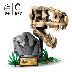 Lego 76964 Jurassic World Dinosaur Fossils: T. Rex Skull