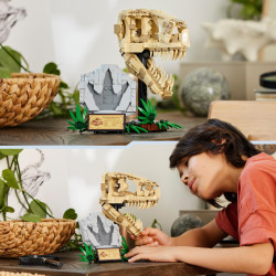 Lego 76964 Jurassic World Dinosaur Fossils: T. Rex Skull