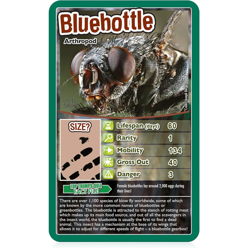 Bugs Top Trumps Card Game