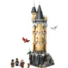 LEGO Harry Potter Hogwarts Castle Owlery With Toy Owls 76430