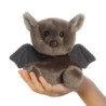 Palm Pals Luna Bat Soft Toy