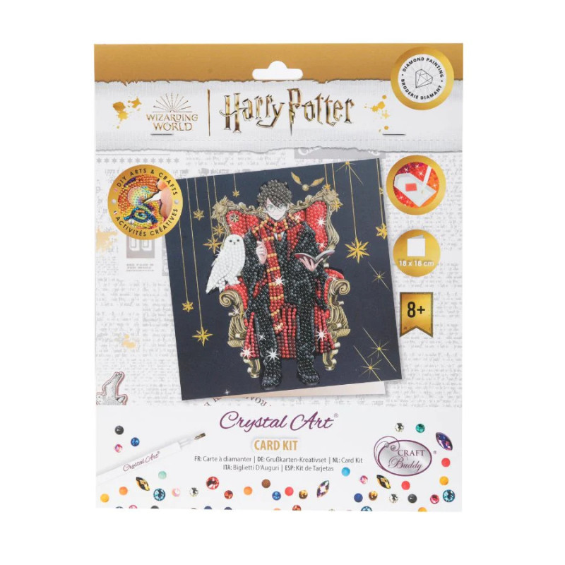 HARRY & HEDWIG" HARRY POTTER CRYSTAL ART CARD