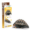 Eugy Build Your Own 3d Models Pangolin