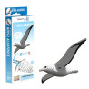 Eugy Build Your Own 3d Models EUGY Royal Albatross