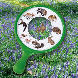 Outdoor Adventure Nature Explorer