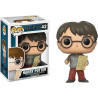 Funko POP! Movies: Harry Potter - Collectible Vinyl Figure 42