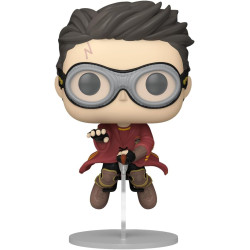 Funko POP! Movies: Harry Potter With Broom Prisoner Of Azkaban  (Quidditch) Collectable Vinyl Figure 165