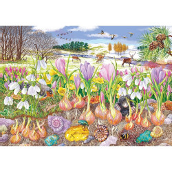 Roots & Shoots 4 x 500 Piece Jigsaw Puzzles