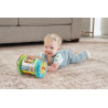 VTech Baby Explore & Discover Roller Interactive Baby Toy