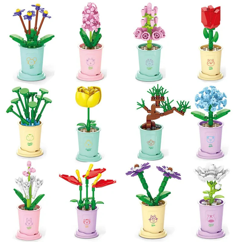 Florist Plant Series Lucky Flower Assortment