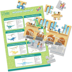 Galt Natural History Museum Let's Learn Dinosaurs - 6 Dino Projects & Fact Activity Cards