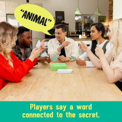 The Chameleon Board Game