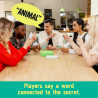 The Chameleon Board Game