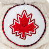 Care Bears True North Bear 14inch Soft Plush Toy
