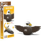 Eugy Build Your Own 3d Models Bald Eagle 022
