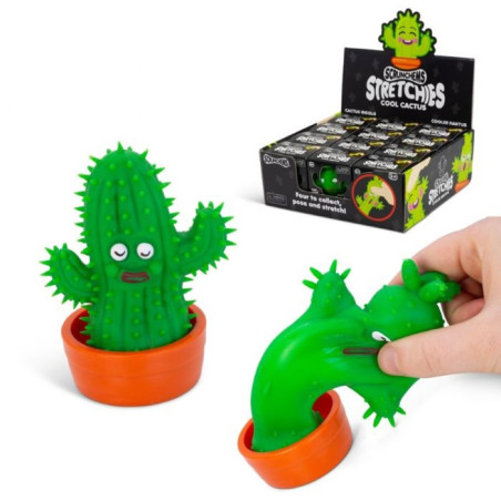 Scrunchems  Stretchies Cool Cactus Squish Ball Fidget Toy Assortment