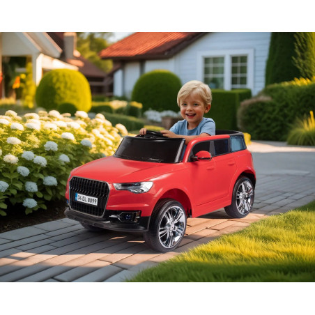 Dolu Montana 12V Battery Operated  including   Remote Control