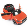 Dolu Montana 12V Battery Operated  including   Remote Control