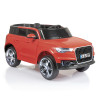 Dolu Montana 12V Battery Operated  including   Remote Control