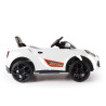 Sport Coupe 12v Neon Battery powered car including   Remote Control